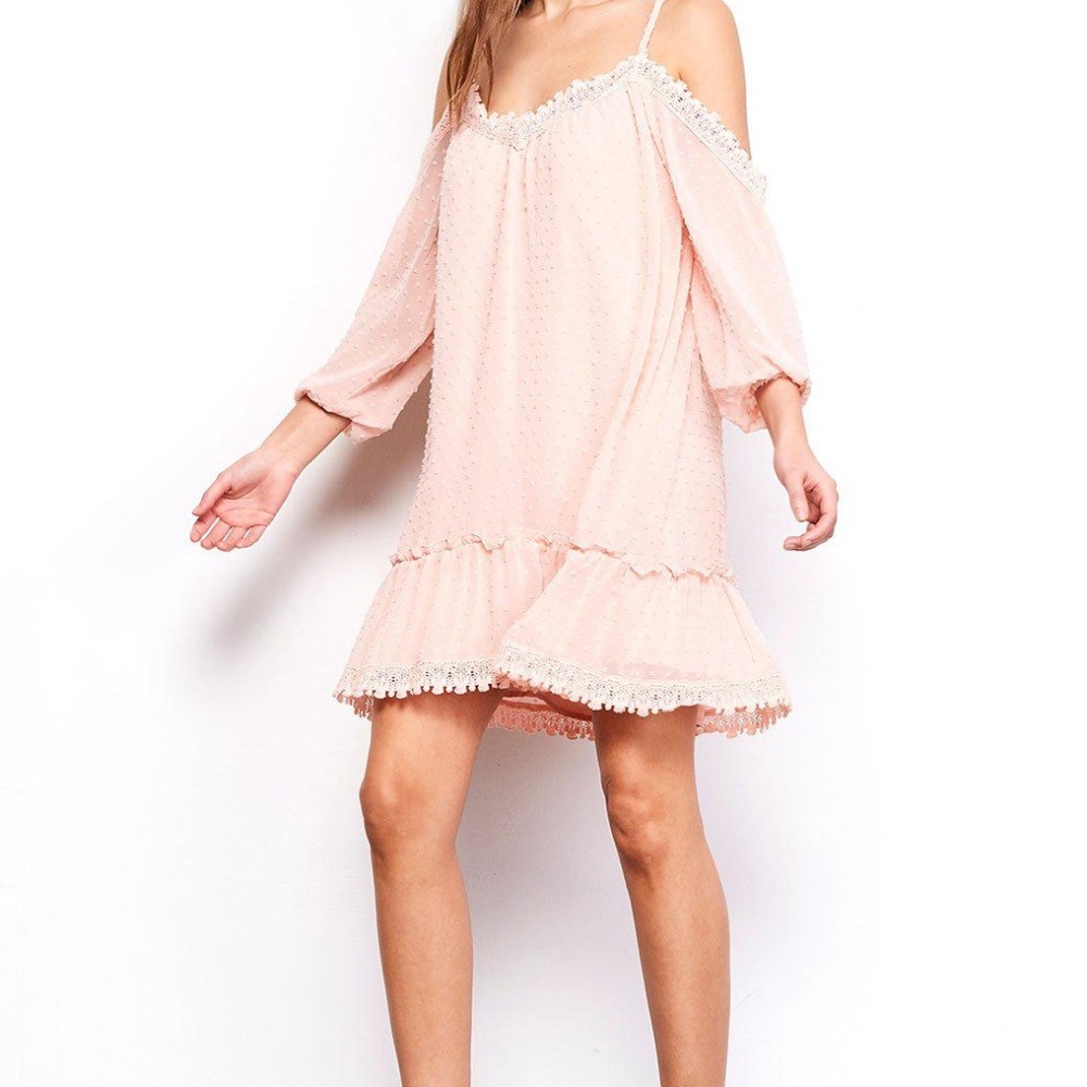 NWT - BB Dakota Pink Off the Shoulder Dress